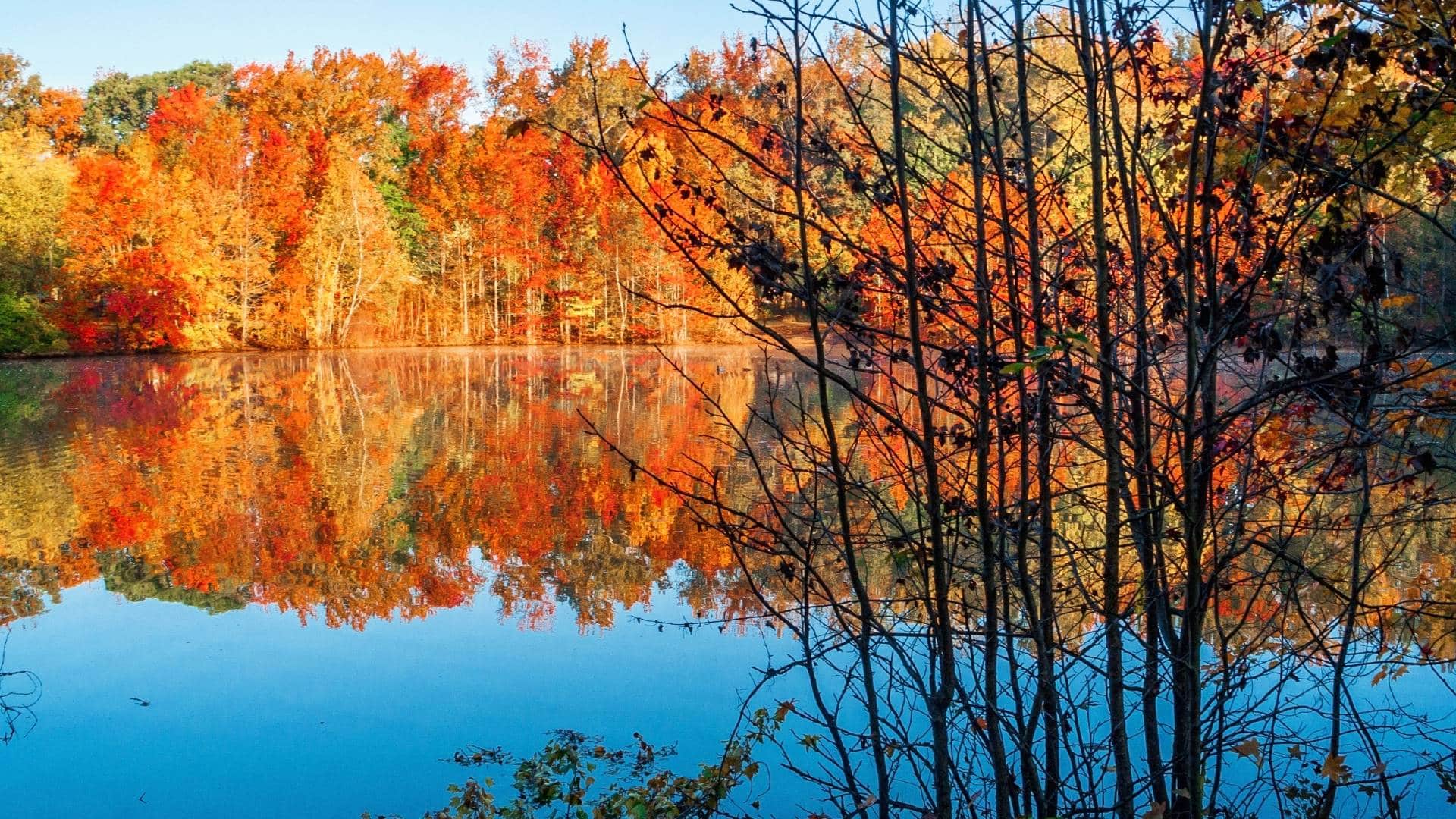 What is the best time to visit greece? Best travel agency in Greece A serene lake reflects vibrant autumn trees with orange and red foliage under a clear blue sky. Bare branches are in the foreground, reminiscent of Greece in autumn, capturing the essence of this beautiful season as one of the best times to visit Greece. Offbeat-Travel