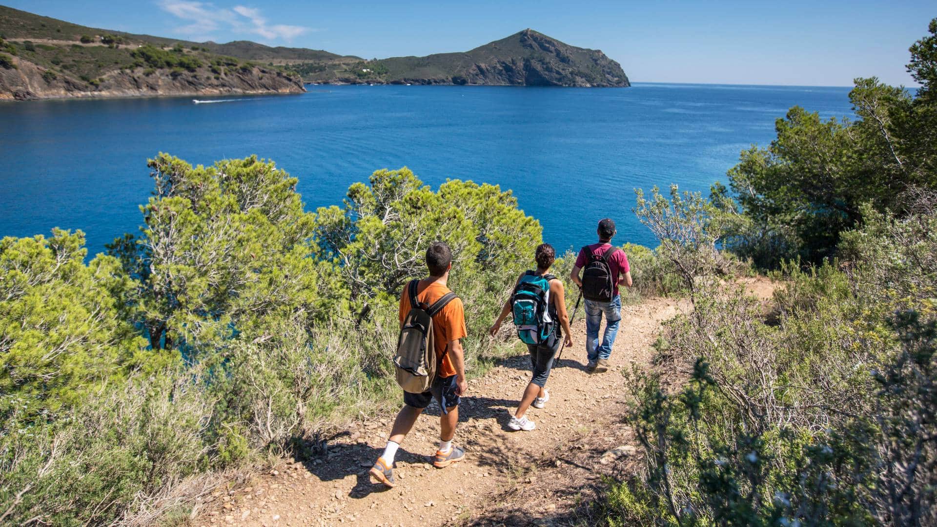 Découvrez les randonnées les plus époustouflantes de la Grèce du Nord, du majestueux Mont Olympe aux sentiers paisibles des îles Sporades. Explorez des paysages sauvages, des monastères anciens et des chemins côtiers pittoresques, parfaits pour les aventuriers et les amoureux de la nature.